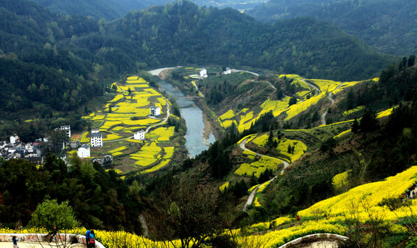 2017六大赏油菜花海胜地附观赏活动策划时间